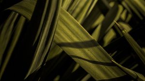 Preview wallpaper grass, macro, green, leaves