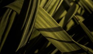 Preview wallpaper grass, macro, green, leaves
