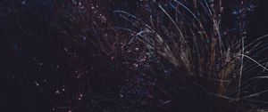 Preview wallpaper grass, macro, plant, dark