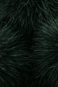 Preview wallpaper grass, macro, plant