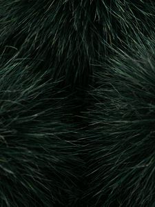 Preview wallpaper grass, macro, plant