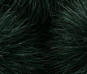 Preview wallpaper grass, macro, plant
