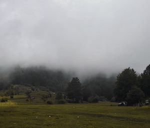 Preview wallpaper grass, meadow, trees, fog, landscape