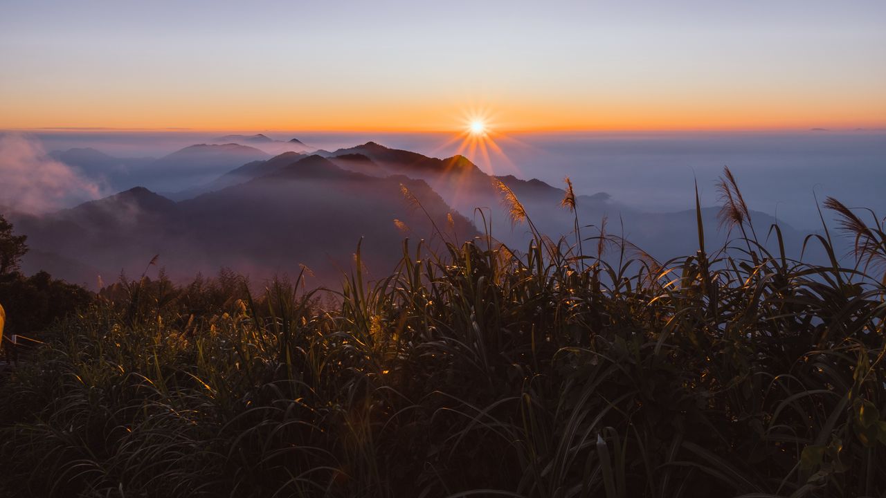 Wallpaper grass, mountains, fog, sunrise, landscape