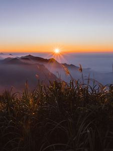 Preview wallpaper grass, mountains, fog, sunrise, landscape