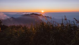 Preview wallpaper grass, mountains, fog, sunrise, landscape