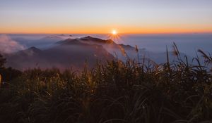 Preview wallpaper grass, mountains, fog, sunrise, landscape