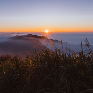 Preview wallpaper grass, mountains, fog, sunrise, landscape