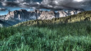 Preview wallpaper grass, mountains, hdr