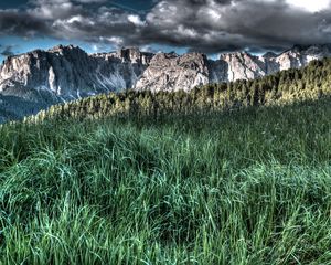 Preview wallpaper grass, mountains, hdr
