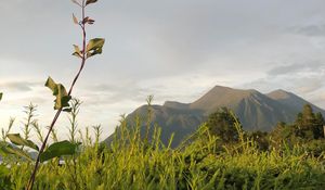 Preview wallpaper grass, mountains, peaks, sky