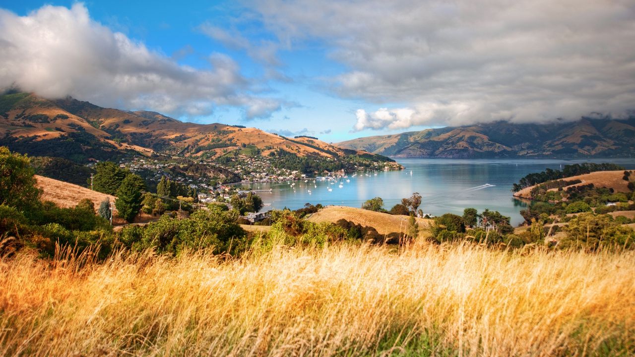 Wallpaper grass, mountains, trees, clouds, coast, sea, ships, height, look