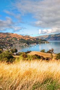 Preview wallpaper grass, mountains, trees, clouds, coast, sea, ships, height, look