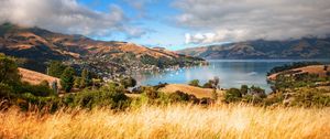 Preview wallpaper grass, mountains, trees, clouds, coast, sea, ships, height, look