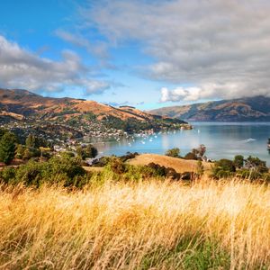 Preview wallpaper grass, mountains, trees, clouds, coast, sea, ships, height, look