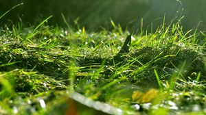 Preview wallpaper grass, nature, macro, light