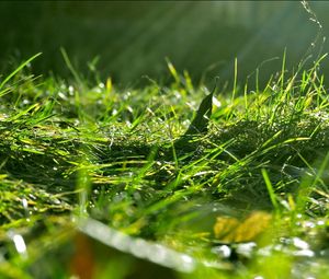 Preview wallpaper grass, nature, macro, light