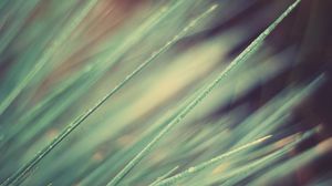 Preview wallpaper grass, obliquely, light, line