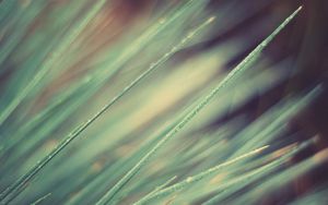 Preview wallpaper grass, obliquely, light, line