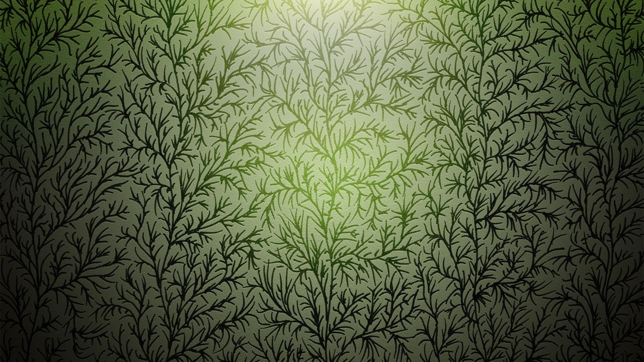 Wallpaper grass, patterns, backgrounds, textures