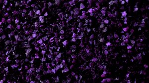 Preview wallpaper grass, plant, purple