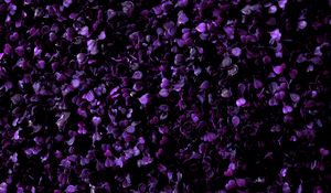 Preview wallpaper grass, plant, purple