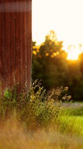 Preview wallpaper grass, plants, fence, rays