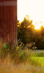 Preview wallpaper grass, plants, fence, rays