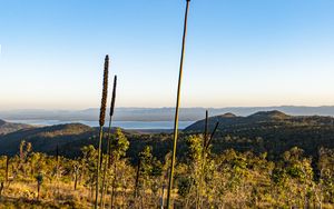 Preview wallpaper grass, plants, mountains, nature, landscape