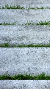 Preview wallpaper grass, plants, stone