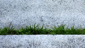 Preview wallpaper grass, plants, stone