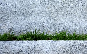 Preview wallpaper grass, plants, stone