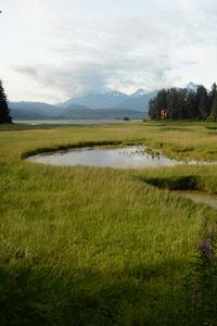 Preview wallpaper grass, pond, mountains, trees, field