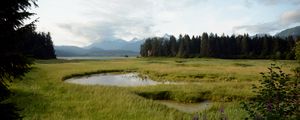 Preview wallpaper grass, pond, mountains, trees, field