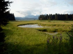 Preview wallpaper grass, pond, mountains, trees, field