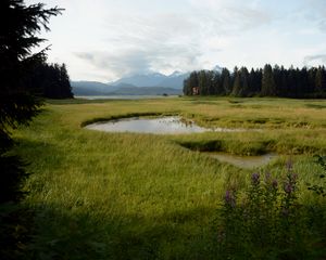 Preview wallpaper grass, pond, mountains, trees, field