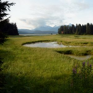 Preview wallpaper grass, pond, mountains, trees, field