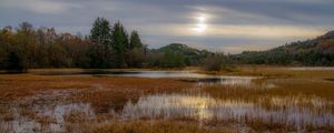 Preview wallpaper grass, pond, water, trees, nature