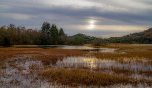Preview wallpaper grass, pond, water, trees, nature