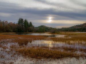 Preview wallpaper grass, pond, water, trees, nature