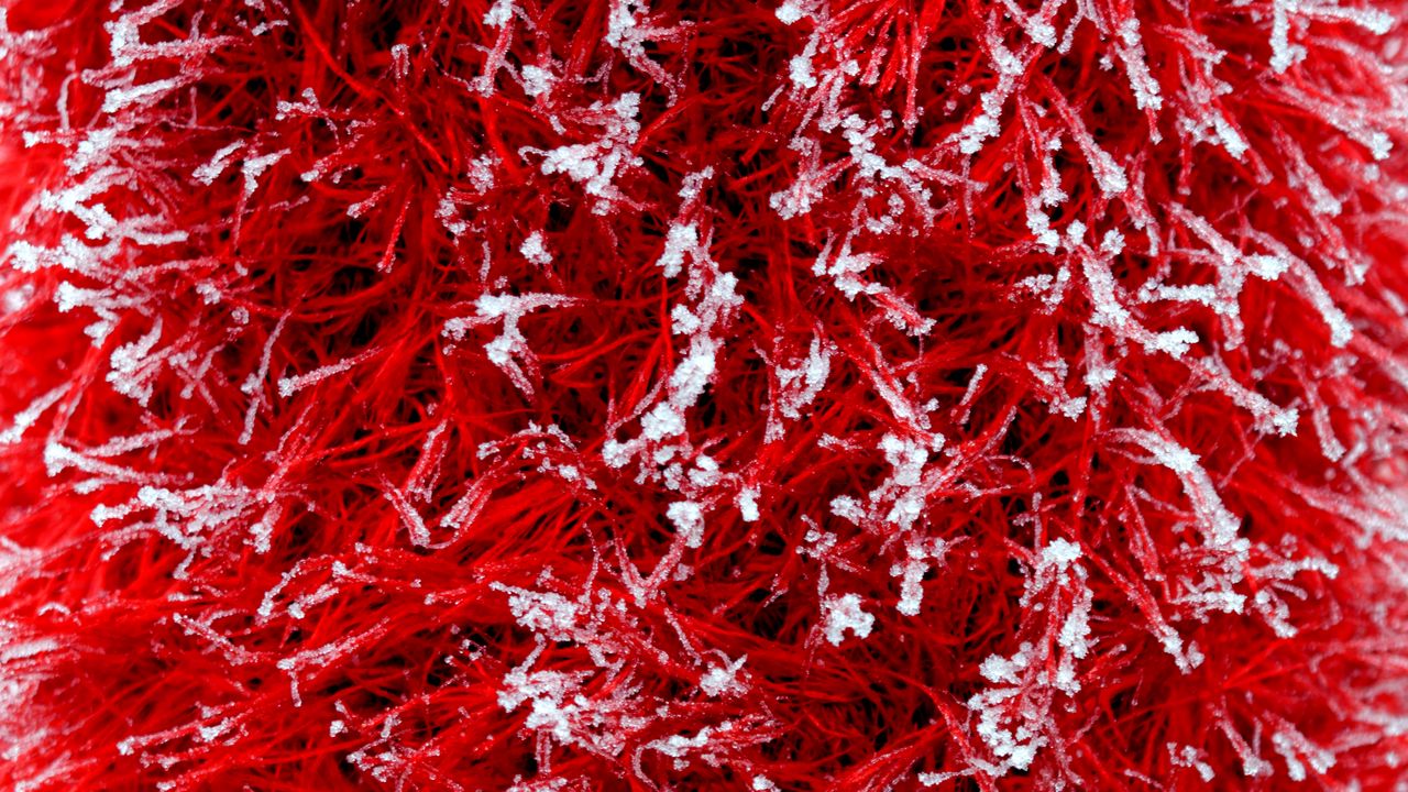 Wallpaper grass, red, snow, background