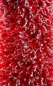 Preview wallpaper grass, red, snow, background