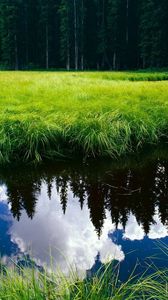 Preview wallpaper grass, reflection, pond