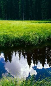 Preview wallpaper grass, reflection, pond