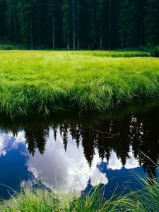 Preview wallpaper grass, reflection, pond