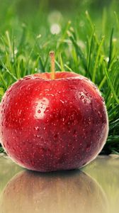 Preview wallpaper grass, ripe, apple, red