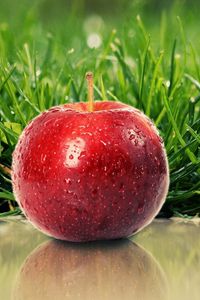 Preview wallpaper grass, ripe, apple, red