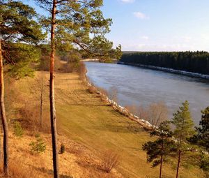 Preview wallpaper grass, river, beach, trees