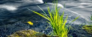 Preview wallpaper grass, river, greenery, nature