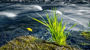 Preview wallpaper grass, river, greenery, nature